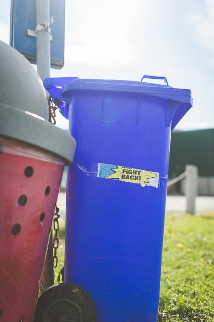 Rubbish collection times in Richmond TW9 explained