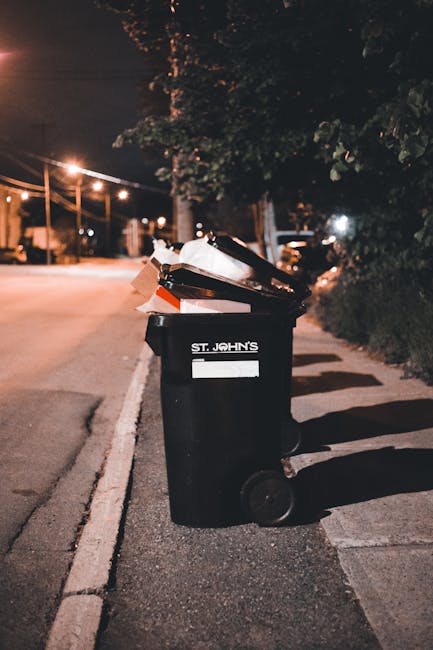 What Richmond residents need to know about rubbish collection rules